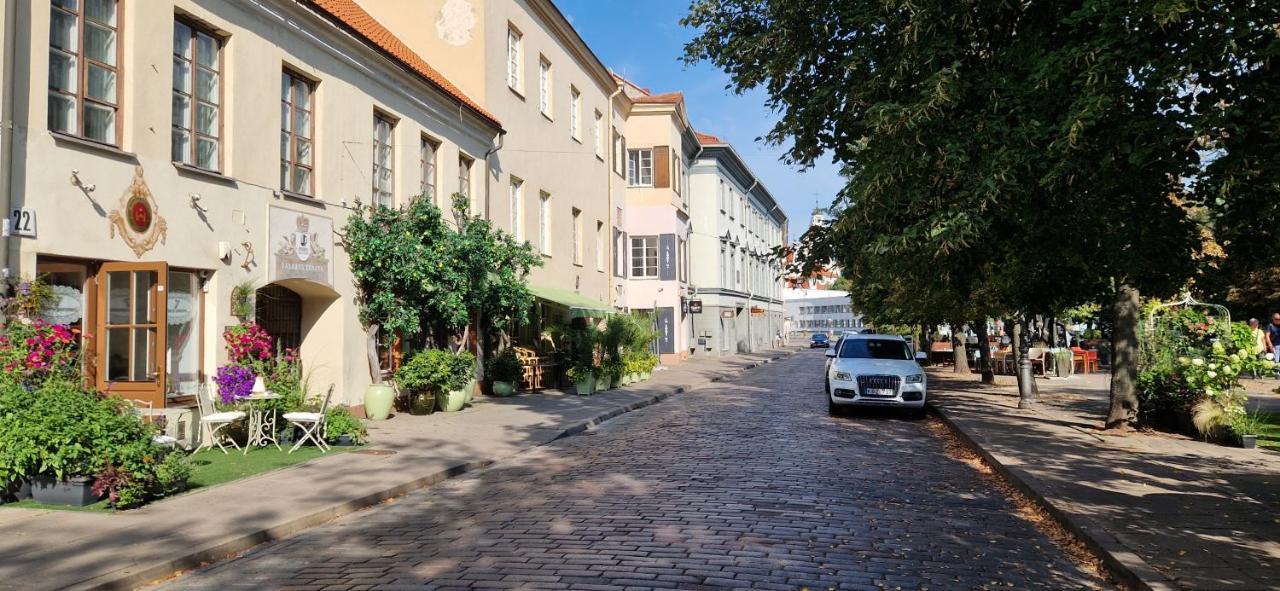 Tyzen39&38 Luxury Apartment Βίλνιους Εξωτερικό φωτογραφία